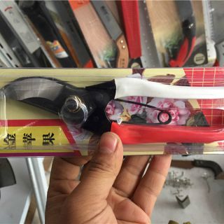金蘋果手剪 ，整枝剪