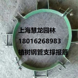 大樹報(bào)箍，植樹支撐報(bào)箍，鋼支撐報(bào)箍